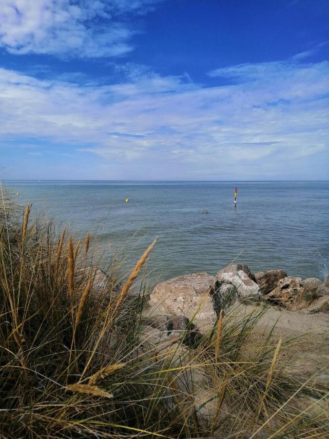 Le Cocon Des Dunes Quend Eksteriør billede